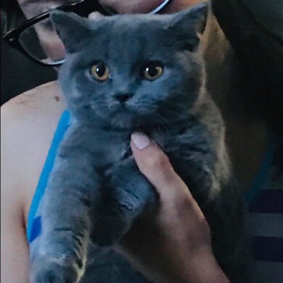 Meet your Posher, Alma - Picture 6 of 12